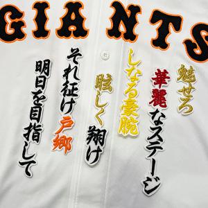 メール便送料無料】福岡 ソフトバンク ホークス 刺繍ワッペン 中村