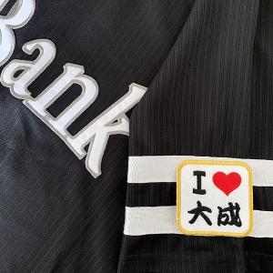 メール便送料無料】納期注意【東京ヤクルトスワローズ 刺繍ワッペン