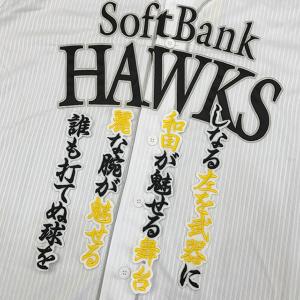 メール便送料無料】福岡 ソフトバンク ホークス 刺繍ワッペン 柳田