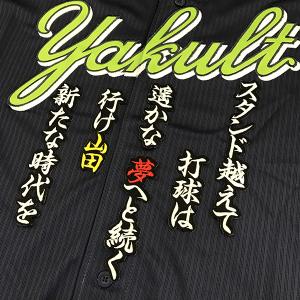 ヤクルトスワローズ　山田哲人　刺繍入り　ユニフォーム　最終値下げ Amazon.co.jp: /サイズ:L東京ヤクルトスワローズ 山田哲人