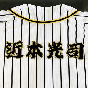 ☆送料無料☆千葉 ロッテ マリーンズ 種市篤暉 シルエット 応援 刺繍