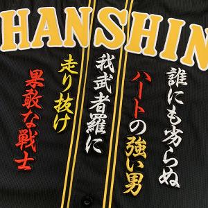 ☆送料無料☆埼玉 西武 ライオンズ 平沢大河 シルエット & ネーム 応援