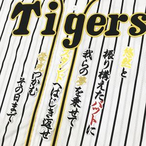 メール便送料無料】ソフトバンクホークス 刺繍ワッペン 柳町 名前/柳町