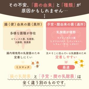 ラクトフローラ シナジー 30日分 妊活 ラク...の詳細画像4