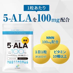 【5-ALA 1粒に100mg (倍量) x鉄...の詳細画像2