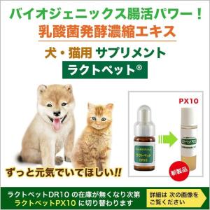 犬 猫 ネコ ねこ ペット用 サプリメント 乳酸菌 酪酸 発酵食品 天然成分100％ 無添加 アミノ酸 ミネラル クレンズフード 濃縮エキス 日本製 ラクトペットDR10