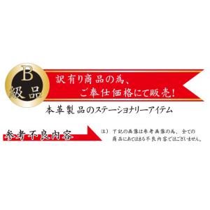 フラットポーチ 1000円 ポッキリ 訳あり ...の詳細画像1