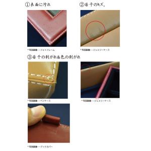 フラットポーチ 1000円 ポッキリ 訳あり ...の詳細画像2