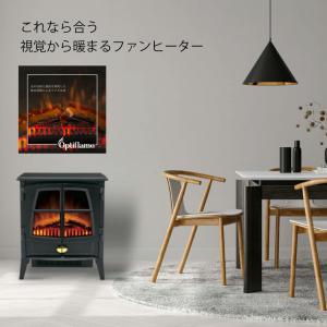エスケイジャパン 暖炉型 温風ヒーター 疑似暖炉炎 SKJ-CX1200DG : 買
