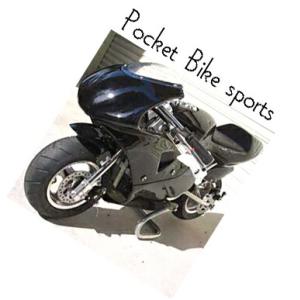 電動ポケバイ レーシング ホワイト/レッド 日本語取扱説明書付