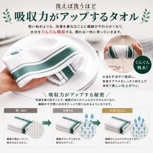 グラスタオル 食器拭き 食器ふきん 10枚セッ...の詳細画像3