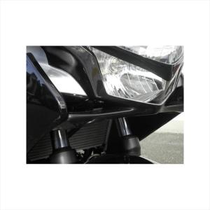 Saitaniya Factory CBR250R カウル・エアロ RCVフロントマスク