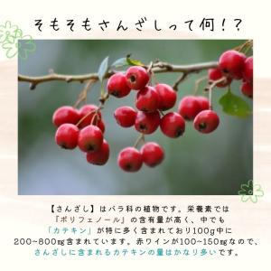 【ぽん酢1本プレゼント】 サンザシドリンク 6...の詳細画像5