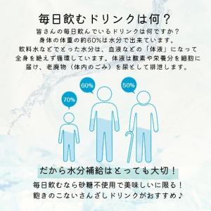 サンザシドリンク 6本 S6P1 セット 美容...の詳細画像5