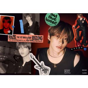 乃木坂46 井上和 Actually… 封入特典生写真 4種コンプ/女性アイドル