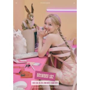 乃木坂46 井上和 Actually… 封入特典生写真 4種コンプ/女性アイドル