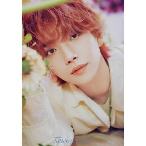 韓流 グッズ ファン ミニョン ミンヒョン HWANG MINHYUN トレカ 風