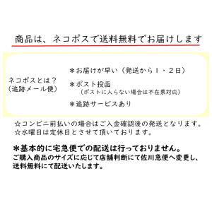 和装 前撮りアイテム 扇子プロップス フラワー...の詳細画像4