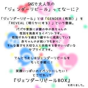 ジェンダーリビール ボックス 赤ちゃん 性別発...の詳細画像1