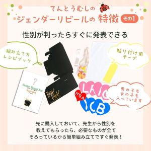 ジェンダーリビール ボックス 赤ちゃん 性別発...の詳細画像3