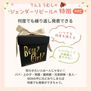 ジェンダーリビール ボックス 赤ちゃん 性別発...の詳細画像4