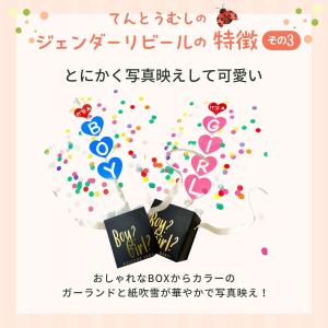 ジェンダーリビール ボックス 赤ちゃん 性別発...の詳細画像5