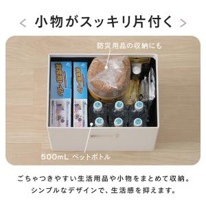 収納ボックス 幅38cm 奥行き27cm 引き...の詳細画像4