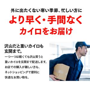 カイロ 貼らない 貼らないカイロ 使い捨てカイ...の詳細画像5