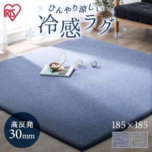 ラグ 2畳 夏用 ひんやり 接触冷感 おしゃれ 厚手 アイリスオーヤマ 撥水加工 すべり止め 185×185 ACRC-1818 [D]