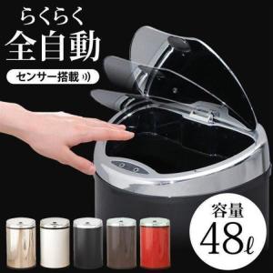ゴミ箱 自動開閉 キッチン おしゃれ 48L 分...の商品画像