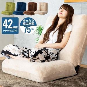 座椅子 一人掛け おしゃれ ローソファー 一人掛けソファ 座椅子ソファー ハイバック 一人用 1人用 安い ポケットコイル Arena2 CG-875K-IP (D)