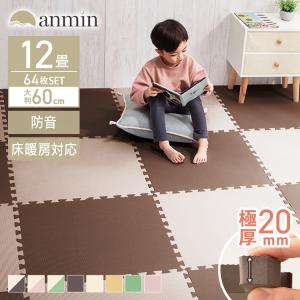 ジョイントマット 厚手 2cm 大判 12畳 マット 60cm 64枚 おしゃれ フロアマット 防音 プレイマット Pejtm 602 ラグ パズル マット 送料無料限定セール中 カーペット サイドパーツ付き