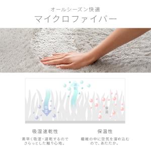 ホットカーペット 1.5畳 ラグ セット シャ...の詳細画像5