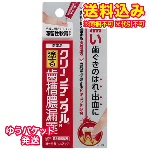 ゆうパケット）【第3類医薬品】クリーンデンタルＮ　歯槽膿漏薬　8g