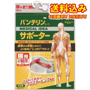 バンテリンコーワサポーター　腰用固定タイプ　ゆったり大きめ(LL)　ブルーグレー　1枚※取り寄せ商品　返品不可｜ladydrugheartshop-pl