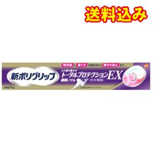 新ポリグリップ　トータルプロテクションEX　70g｜ladydrugheartshop-pl