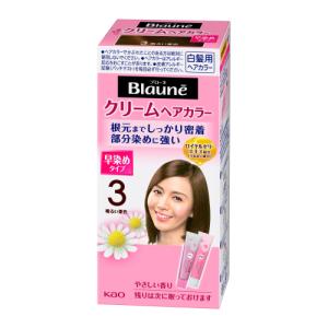 サクセス ブラック ふんわり仕上がる カラートリートメント 本体 155g