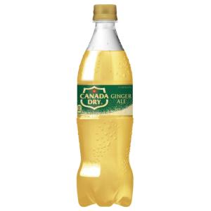 コカコーラ カナダドライ ジンジャーエール PET 350ml×24個 : くすりの