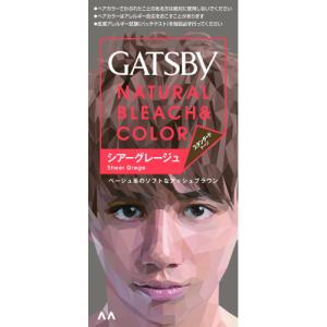 ビゲン クリームトーン 4NA ナチュラリーブラウン ( 1セット
