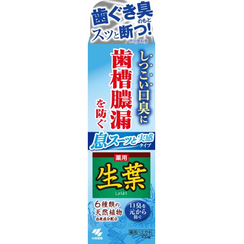 【医薬部外品】小林製薬　生葉I　息スーッと実感　100g※取り寄せ商品　返品不可