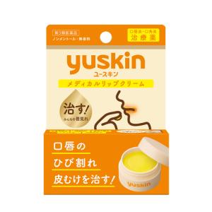 【第3類医薬品】ユースキン メディカルリップクリ...の商品画像