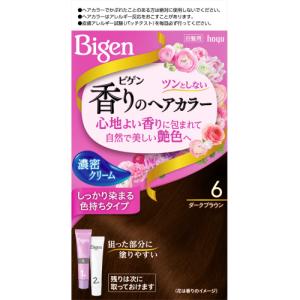 ビゲン　香りのへアカラー濃密クリーム　密着染め色持ちタイプ　6（ダークブラウン）【当日つく高知】｜ladygokouchi