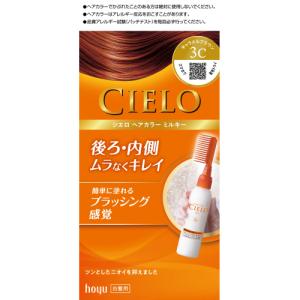 サロン ド プロ 泡のヘアカラー・エクストラリッチ（白髪用） 1個