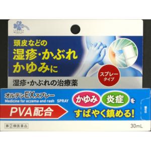 オルテンＥＸスプレーの商品画像