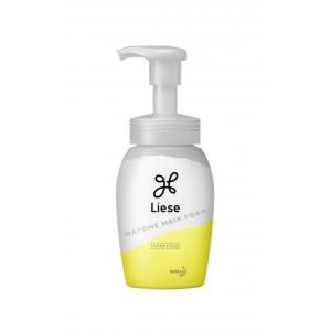 Kao（花王） ブローネ 薬用育毛ローション 無香料 ( 180g )/ ブローネ