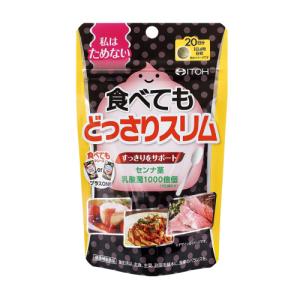 井藤漢方 食べても どっさりスリム 20日分の商品画像
