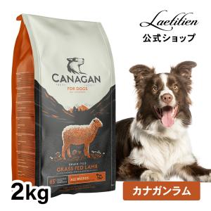 カナガン ドッグフード チキン 2kg グレインフリー 全犬種 全年齢対応