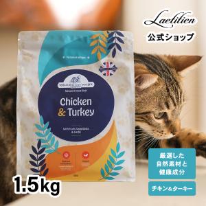 公式 アランズ ナチュラルキャットフード チキン...の商品画像