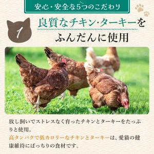 公式 アランズ ナチュラルキャットフード チキ...の詳細画像2