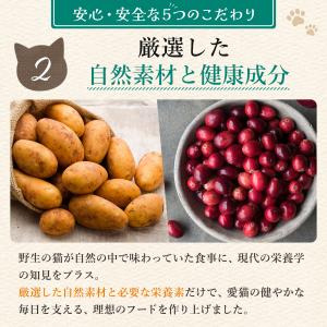 公式 アランズ ナチュラルキャットフード チキ...の詳細画像3